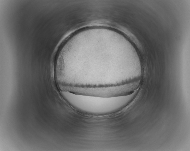 X0000113921224200910221347