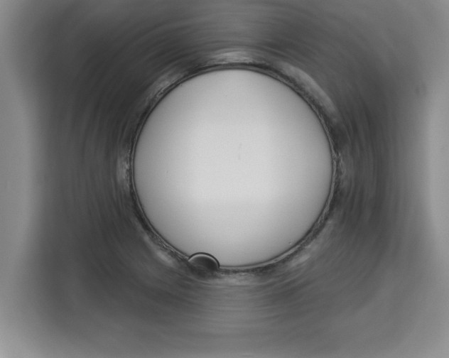 X0000113921225200910221347