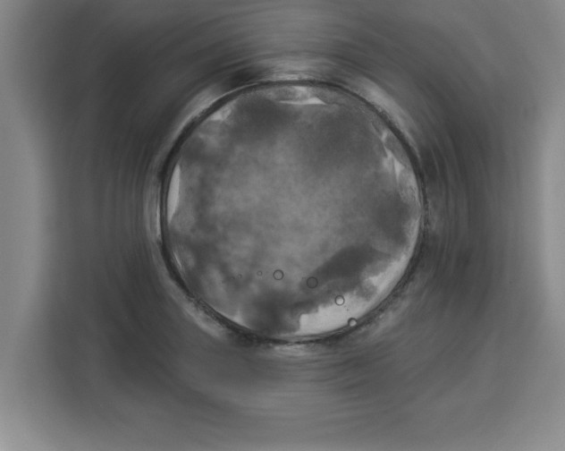 X0000113921227200910221347