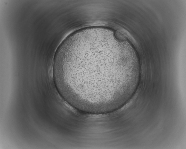 X0000113921228200910221347