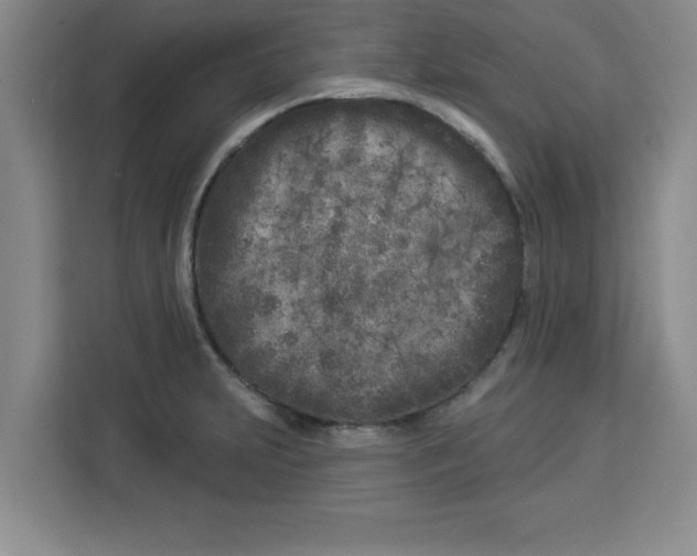 X0000113921231200910221347
