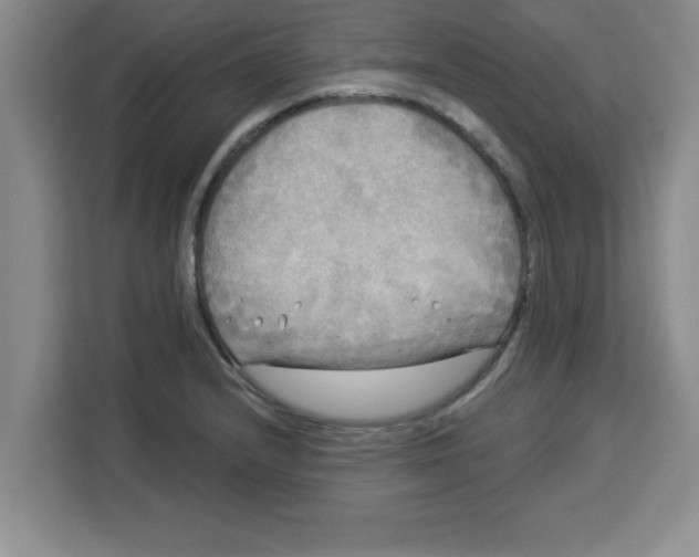 X0000113921232200910221347