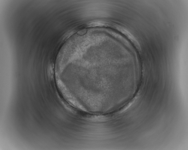 X0000113921233200910221347