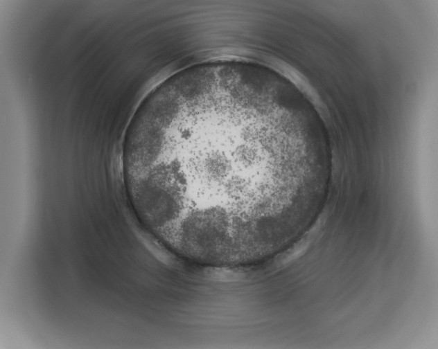 X0000113921234200910221347