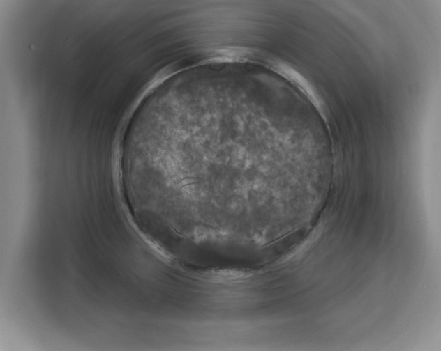 X0000113921235200910221347