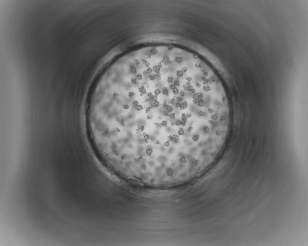 X0000113921237200910221347