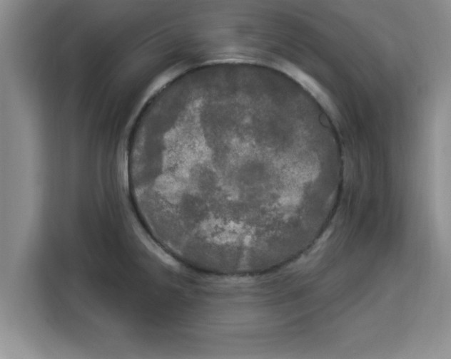 X0000113921238200910221347