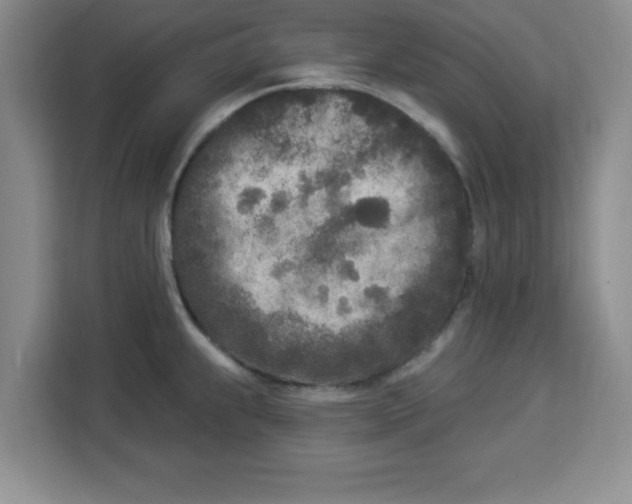 X0000113921239200910221347