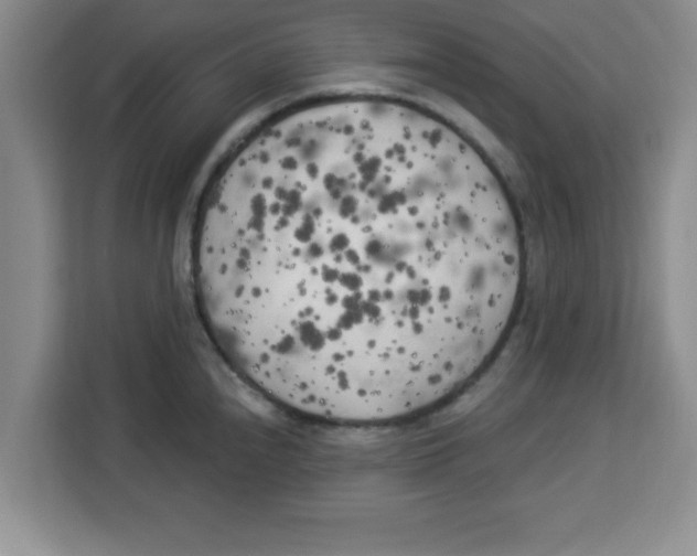 X0000113921240200910221347