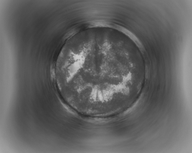 X0000113921241200910221347