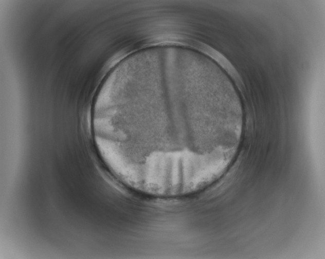 X0000113921242200910221347