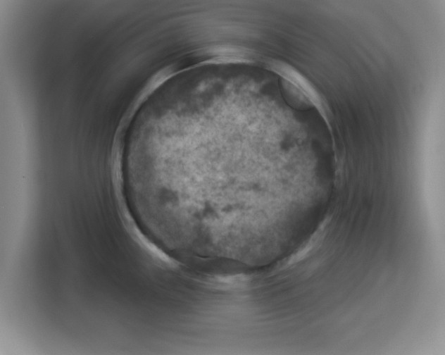 X0000113921243200910221347