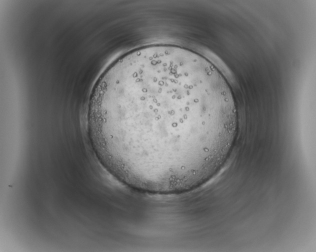 X0000113921244200910221347
