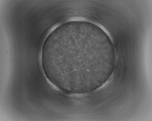 X0000113921245200910221347