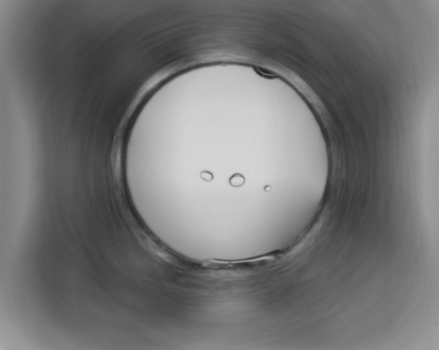 X0000113921246200910221347