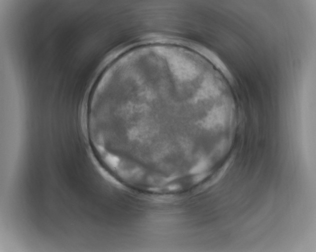 X0000113921247200910221347