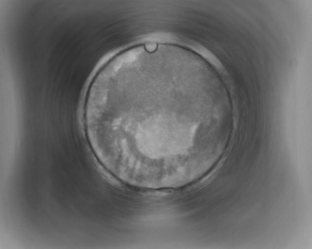 X0000113921248200910221347
