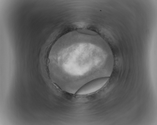 X0000113921249200910221346