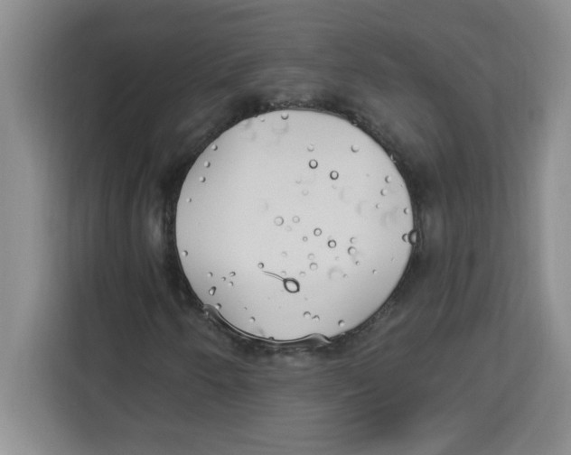 X0000113921250200910221346