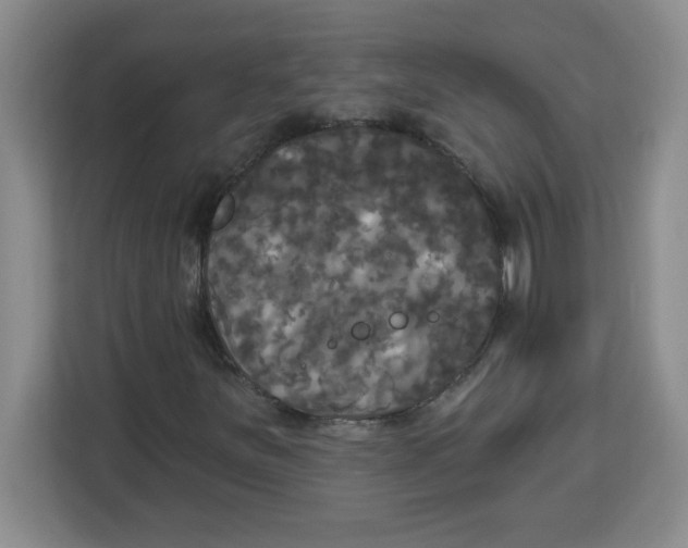 X0000113921251200910221346