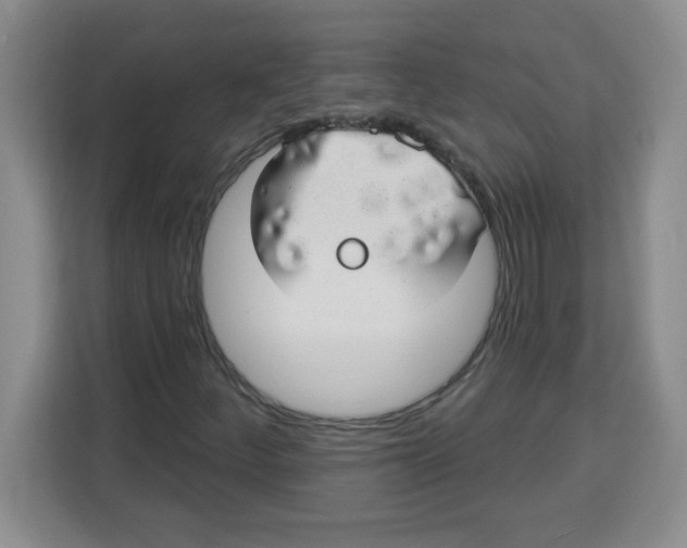 X0000113921252200910221346