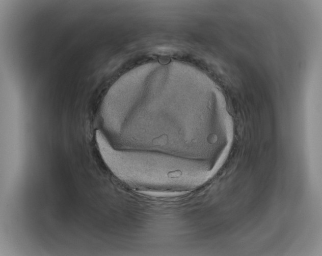 X0000113921253200910221346