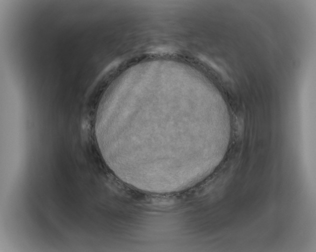 X0000113921254200910221346