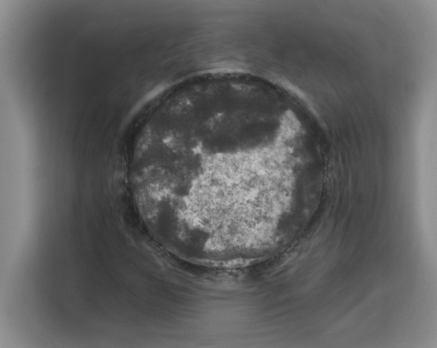 X0000113921255200910221346