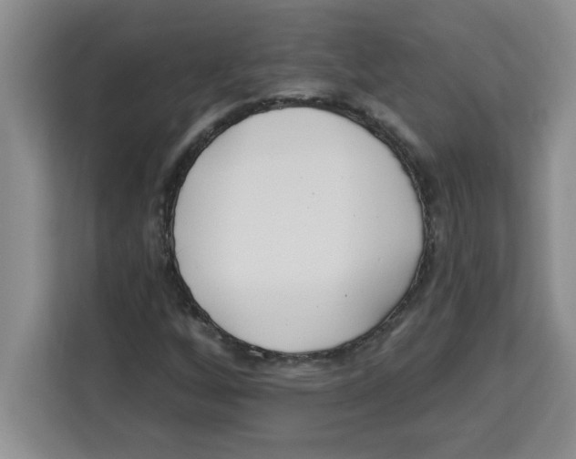 X0000113921256200910221346