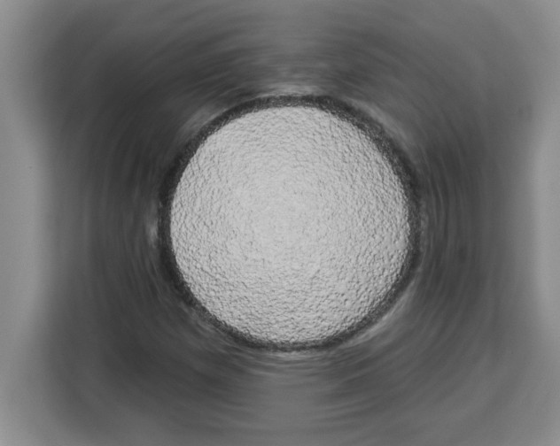 X0000113921257200910221346