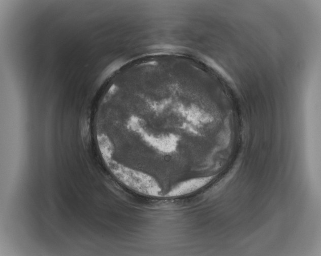 X0000113921259200910221346