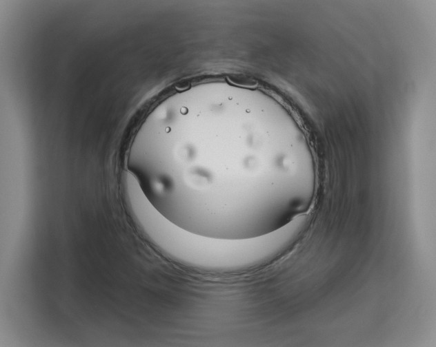 X0000113921261200910221346