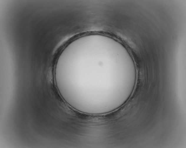 X0000113921262200910221346