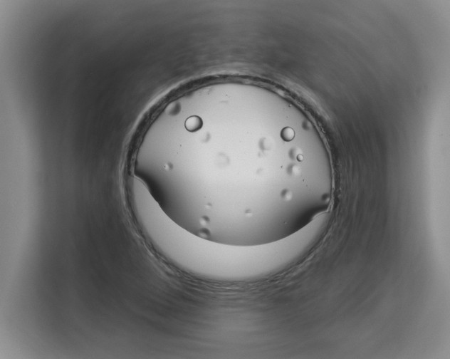 X0000113921264200910221346