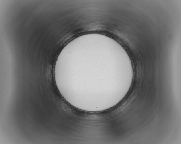 X0000113921265200910221346