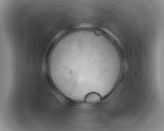 X0000113921266200910221346