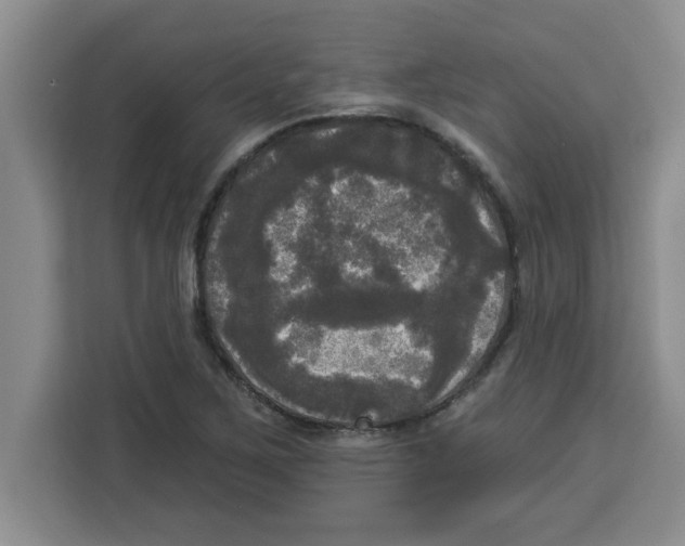X0000113921267200910221346