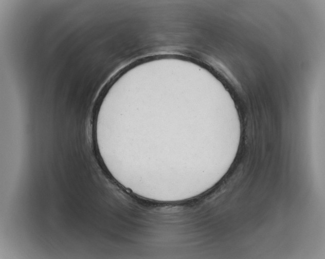 X0000113921268200910221346