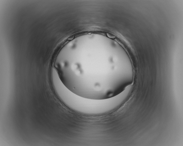 X0000113921269200910221346