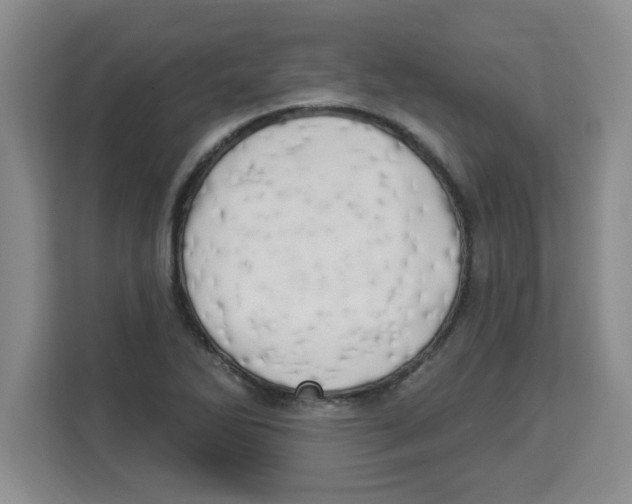 X0000113921270200910221346
