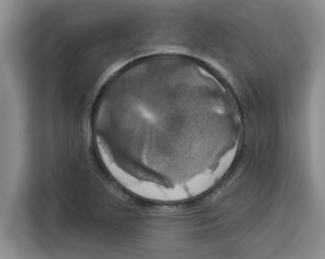 X0000113921271200910221346