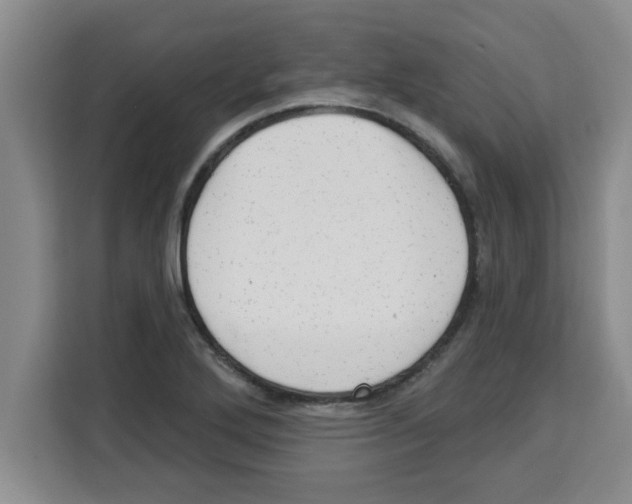 X0000113921272200910221346