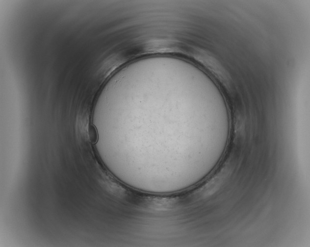 X0000113921273200910221346