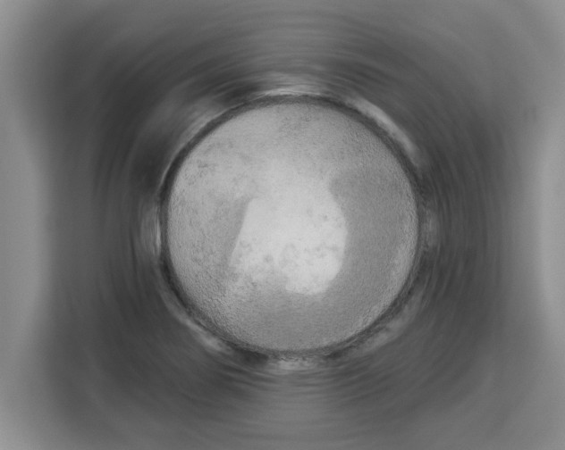 X0000113921274200910221346