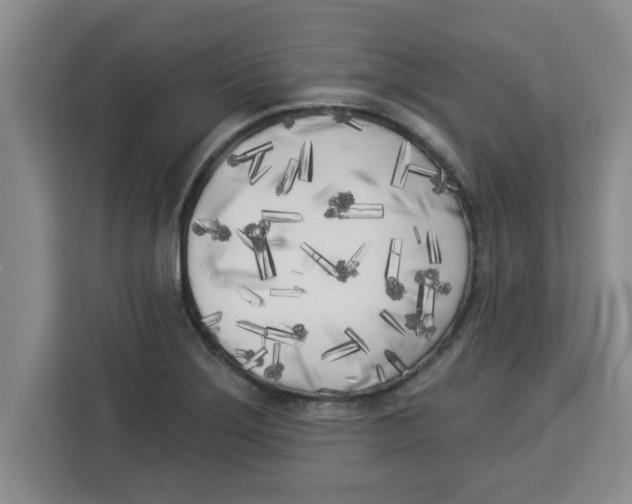 X0000113921275200910221346