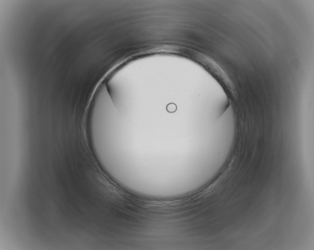 X0000113921276200910221346