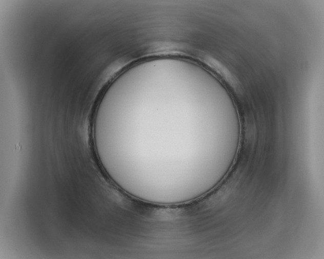 X0000113921277200910221346