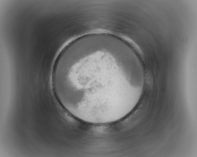 X0000113921278200910221346