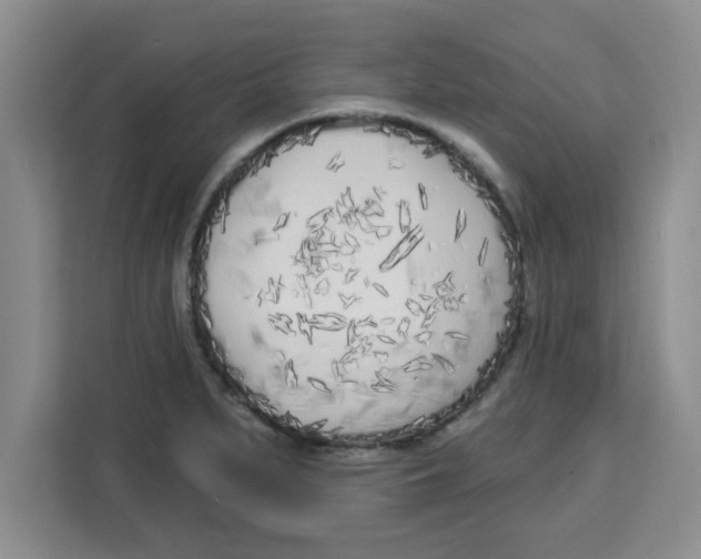 X0000113921279200910221346