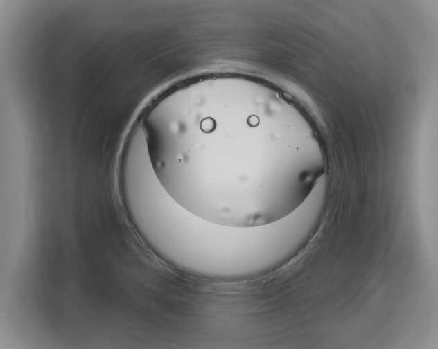 X0000113921280200910221346